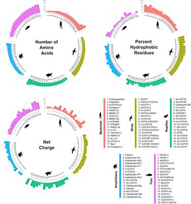 Cathelicidin Host Defense Peptides and Inflammatory Signaling: Striking a Balance